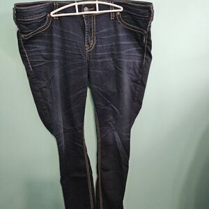 Silver Jeans Dark Wash Skinny Jeans